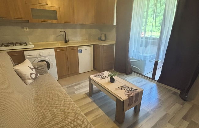 Uzungöl Ozturk Hotel - Foto 48