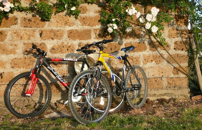 Casale dei Gelsi Bed & Breakfast - Foto 53