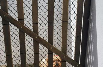 Apartamento Ambar - Foto 9