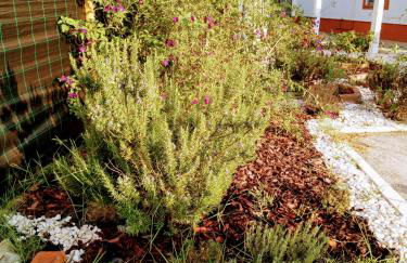 Moita Cottage - Foto 42