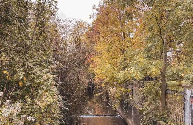 Charming 5 Star 3 Bed London Flat, Garden, Parking - Foto 9