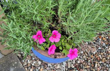 The old post office Callander holiday let - Foto 9