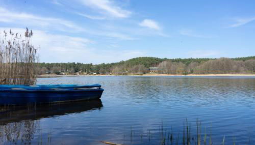 WaldSeeLiebe - Photo 5