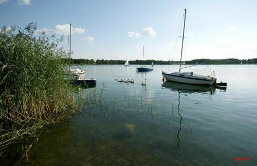 Noclegi Pod Modrzewiem - Foto 26