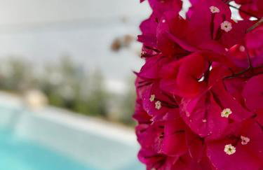 Villa Sal - Alvor - Foto 34