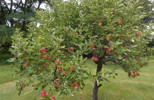 Charney Manor - Photo 21