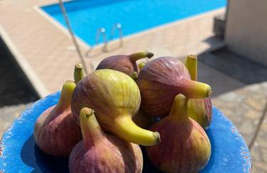 Villa Mirabella Crete panoramic sea views - Foto 26