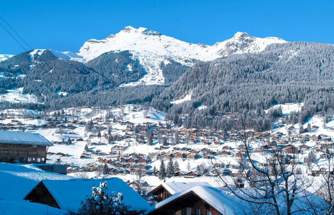 1 bedroom Apartment in Grindelwald with garden - Photo 24