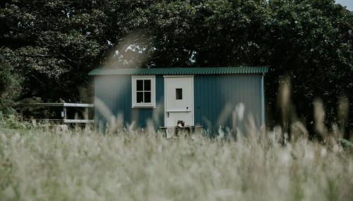 Snowdonia Shepherds Hut + Hot Tub - Foto 3