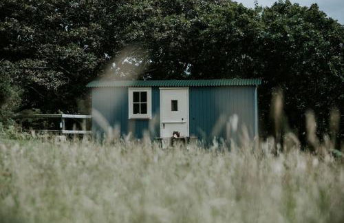 Snowdonia Shepherds Hut + Hot Tub - Foto 3