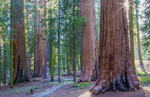 The Elderberry Retreat - It's a Dream Location! - Foto 70