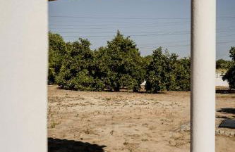 Quinta Alto da Capela - Foto 19