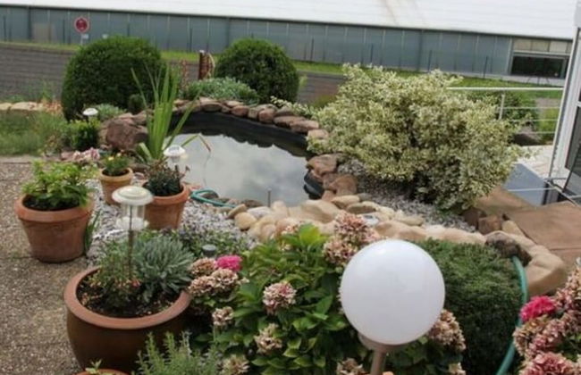 Apartment in Zwingenberg - Foto 27