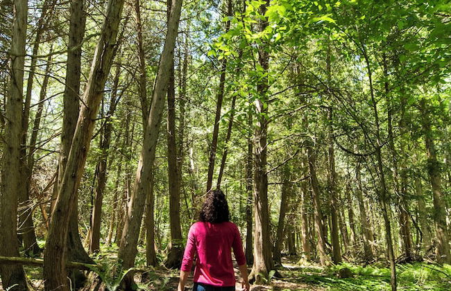 Boho Beaver - Foto 19