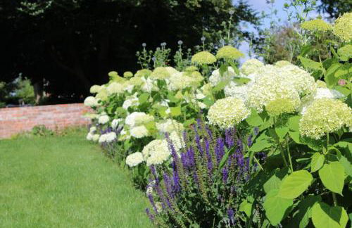 Ferienwohnung GeestZuhause - Foto 34