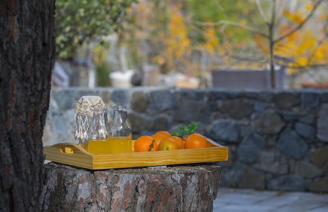 Platres Forest View Cottage - Foto 21