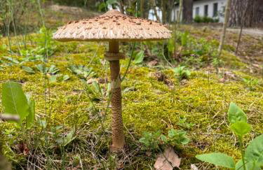 Apartamenty Leśna Plaża - Foto 76