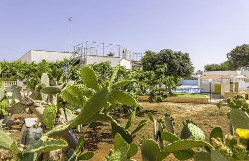 Villa Gina - Foto 76