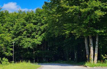 Kuća za odmor Hodak - Foto 40