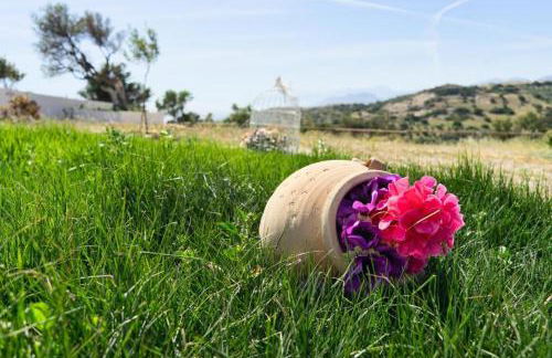 Villa George Sea View with pool - Triopetra - Foto 38