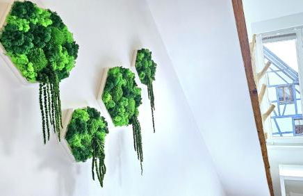 WOOD WORLD Luxury - Massage - Bergblick - Tranpolin- Parken - Foto 33