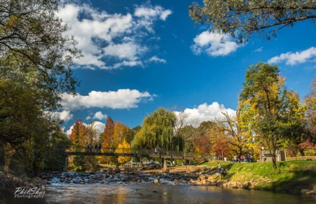 Discovery Parks - Mount Buffalo - Photo 71