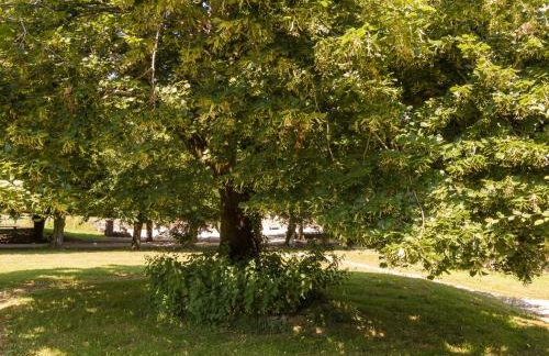 Cottage in Chaleix near Forest and Lake - Foto 17