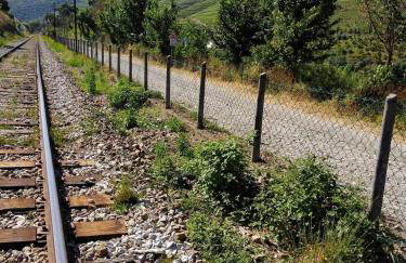 Pinhão House - Foto 24