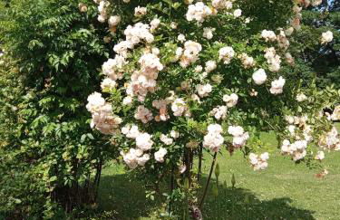 Gîte 2 personnes, proche mer - Foto 17