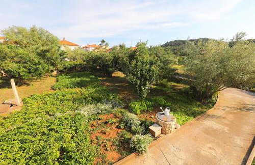 Senkini Dvori - Photo 63