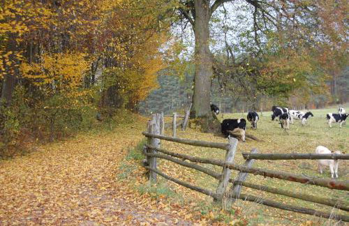 Na Przypiecku - Foto 18