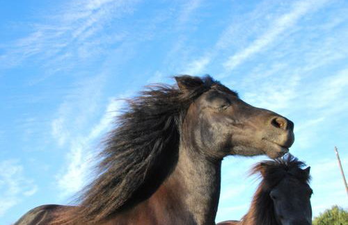 Chaniotis Studios - Foto 47