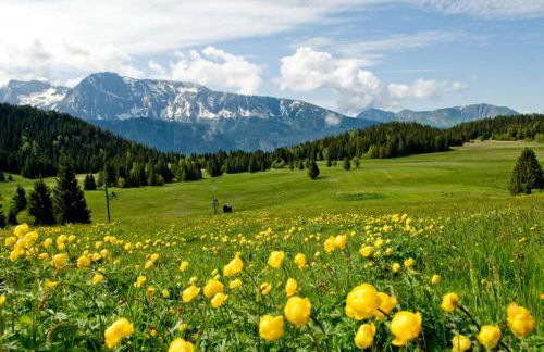 Appart Eterlou Chamrousse - Photo 17