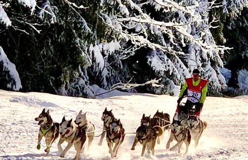 Chalet Le Doux Si, Large Self-Contained Apartment, 2km from Doucy-Combelouvière and close to Valmorel - Foto 24