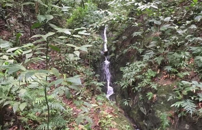 Orchard House - Photo 30