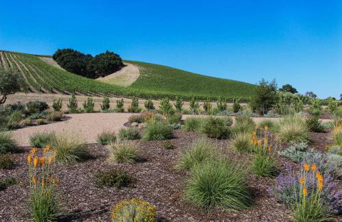 Blue Door Retreat - Foto 41