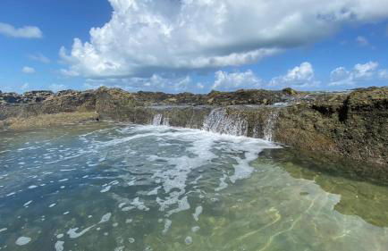 EnseadaPrime hospedagem beira-mar na Praia Enseada dos Corais em PE - Foto 12
