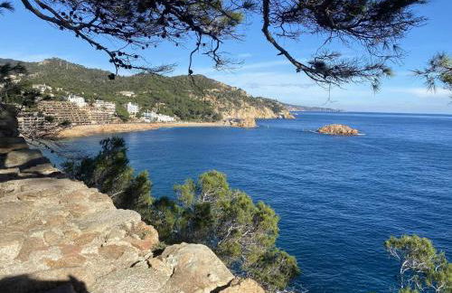 Espiga, Cala privada Tossa de Mar - Foto 27