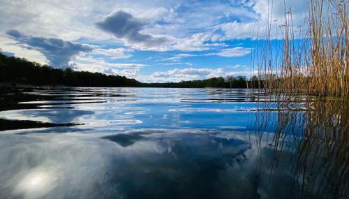 Holiday Home Bungalow Waldidyll by Interhome - Foto 2