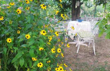 Maroulas House - Foto 20