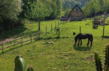 Le Gite du Ranch Normand - Photo 27