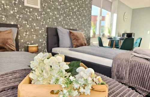 Fewo Friends, 2 Apartments, Businesswohnung, Monteurzimmer mit Gemeinschaftsküche - Foto 29