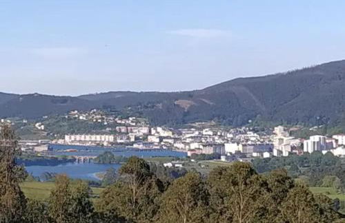 Vieiro Verde - Foto 21