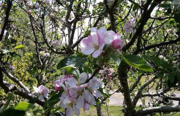 La maison bleue, entre terre et mer - Foto 5