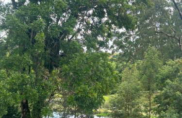 Chácara Canto do Galo - Foto 1