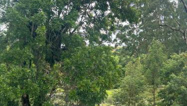 Chácara Canto do Galo - Foto 1