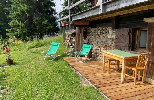 Le petit érable - Vue Mont Blanc - Foto 29