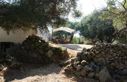 Stazzu Spadulagliu near Olbia - Photo 19