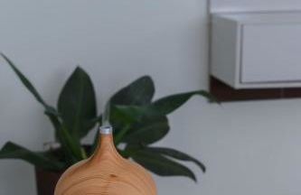 Vila hangloose vista da lagoa - Foto 23