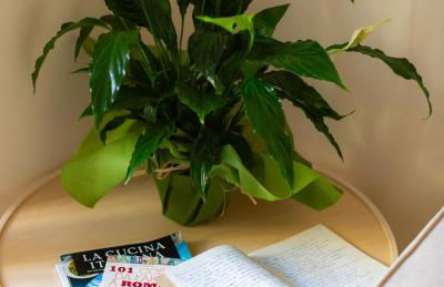 Porta Pia apartment ZENO 53 - Foto 34